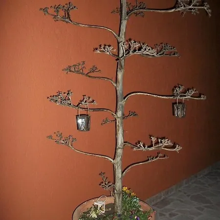 Diona Lourdata (Kefalonia)