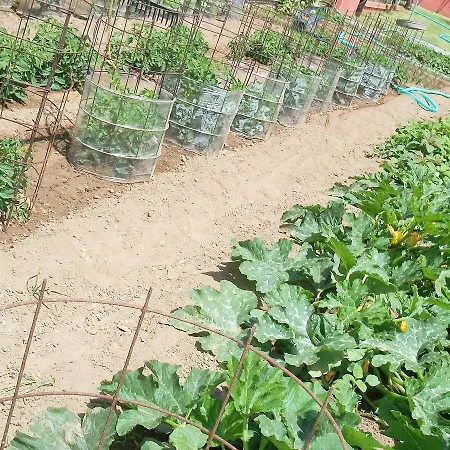 Daire Diona Lourdata (Kefalonia)