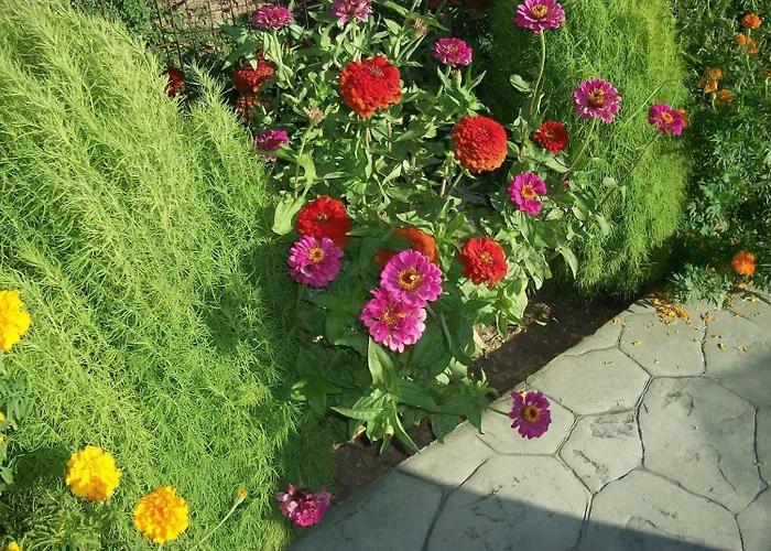 Diona דירה לואורדטה