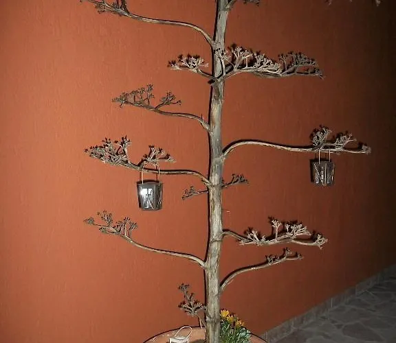 Diona לואורדטה