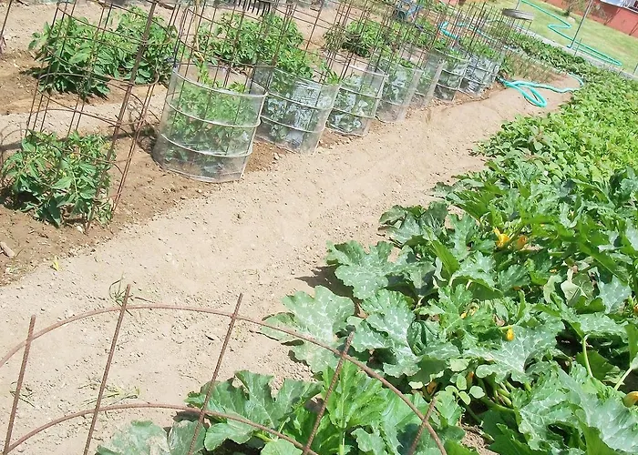 דירה Diona לואורדטה