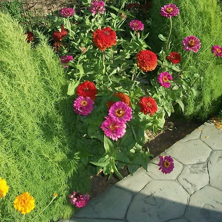 Diona Апартаменты Лурдата