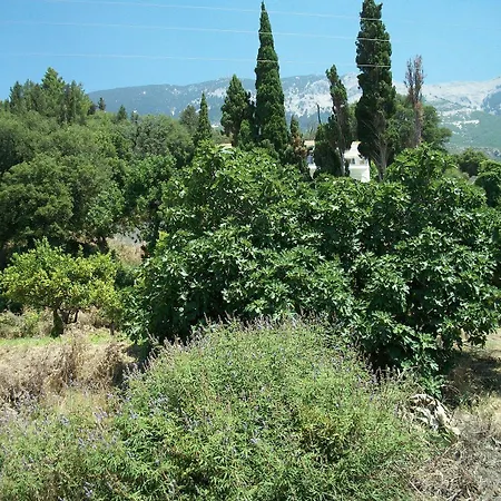 Diona Апартаменты *